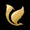 Vsple Technologies Pvt. Ltd. Logotype