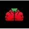 Witsberry Logotype