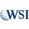 WSI DM INC. Logotype